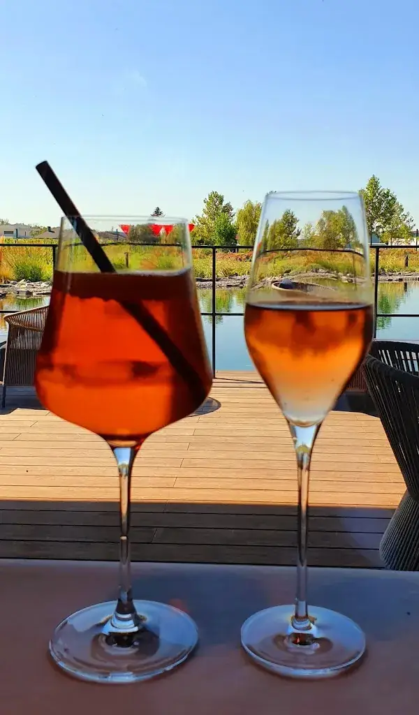 Menu_INFINITY Restaurant im Hotel Scheiblhofer The Resort_Andau_image_5