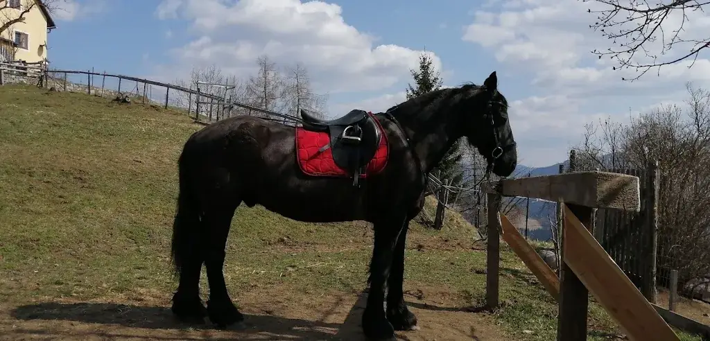 Kaminstüberl_Krakauschatten_slider_image_2