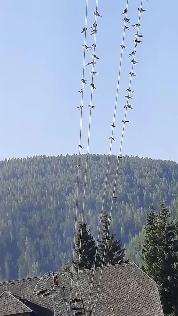 Gasthof Fieglerwirt_Krakaudorf_slider_image_2