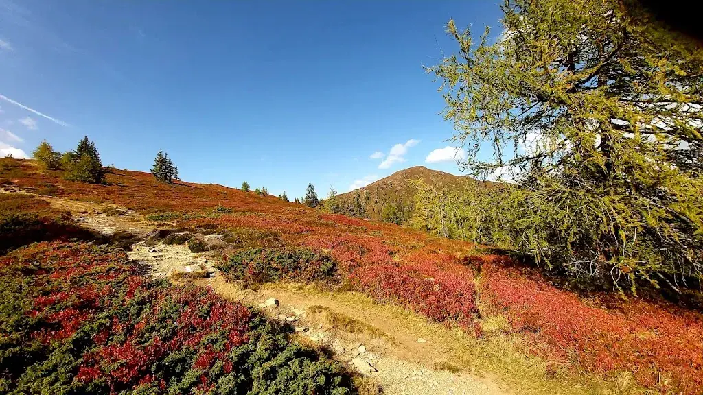 Günther Brauneis_Koasahütte_Krakauhintermühlen_review