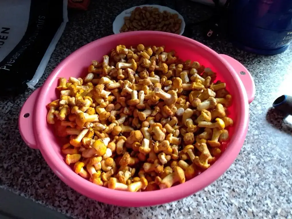 Menu_Rost Bar_Liebenau_image_3