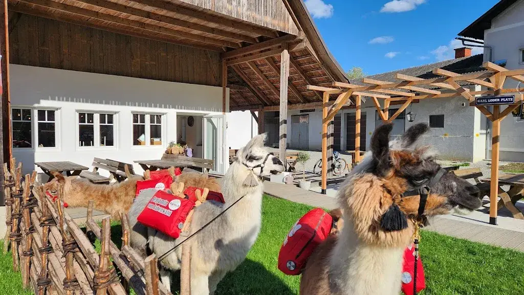 RTS Raabtalstüberl OG_Mitterdorf an der Raab_slider_image_3