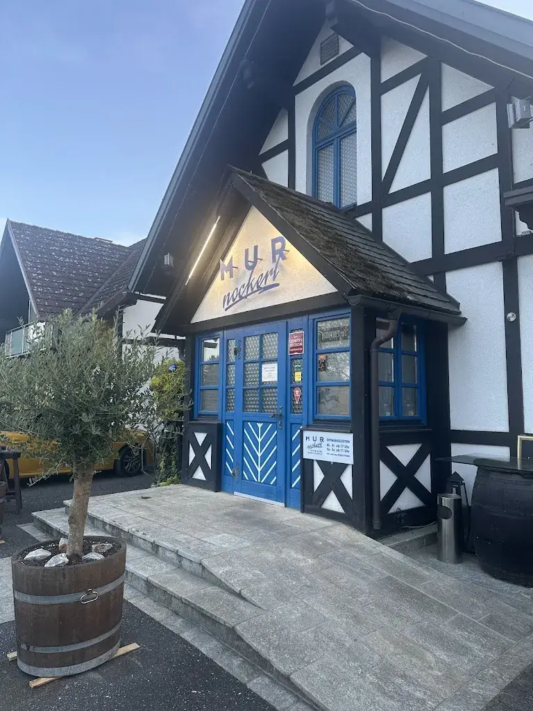 Bernhard Mosser_Restaurant Murnockerl_Mitterlabill_review