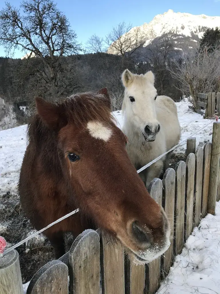 Vitaly Braslaw_Tieschnhof_Michaelerberg_review