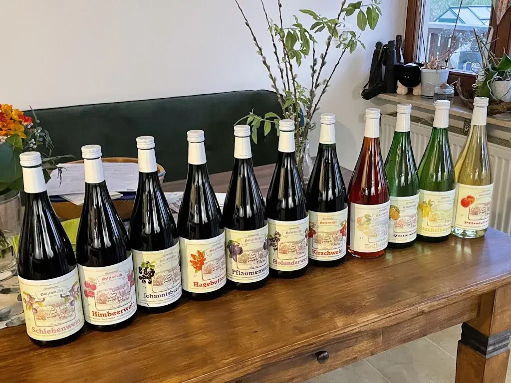 Fritz_Landgasthof Gotzenmühle_Merkendorf_review