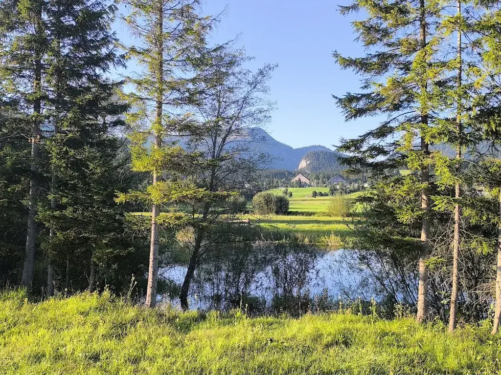 Daniel R._Eselalm_Mitterndorf im Steirischen Salzkammergut_review