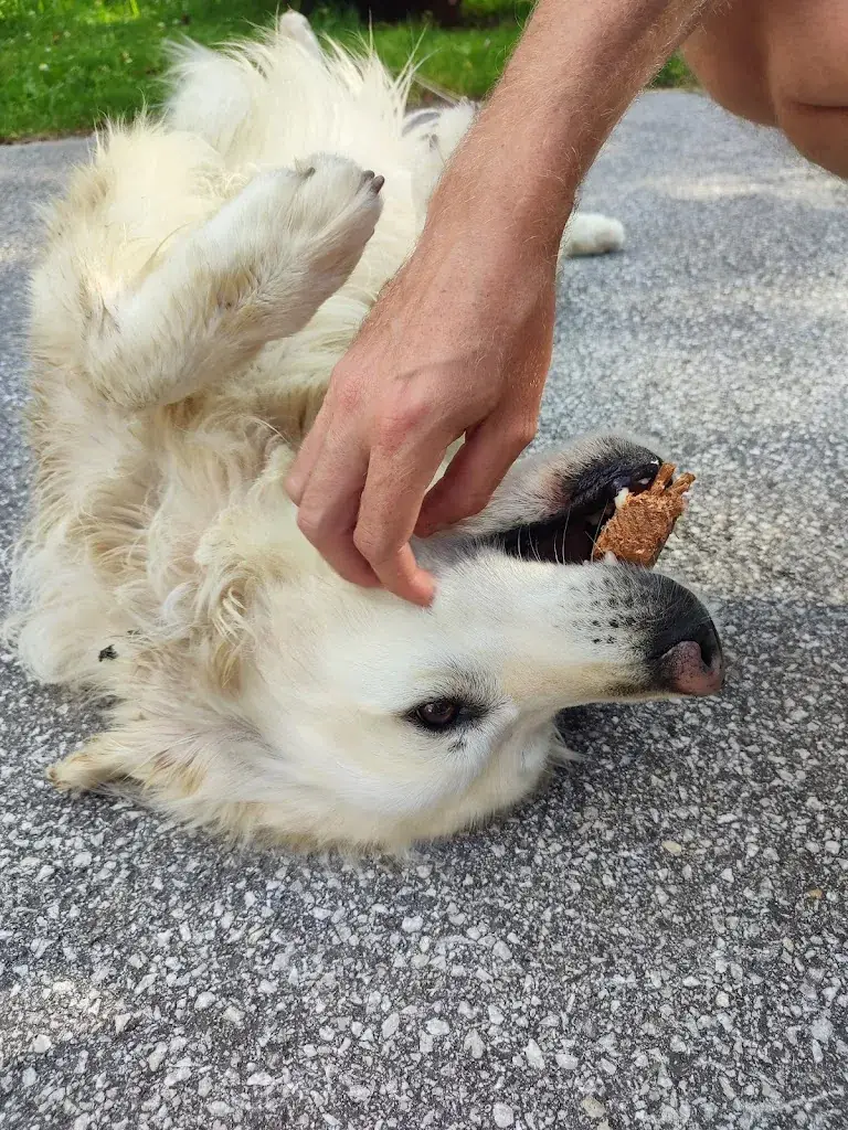 Isabell P._Knödl-Alm_Mitterndorf im Steirischen Salzkammergut_avis