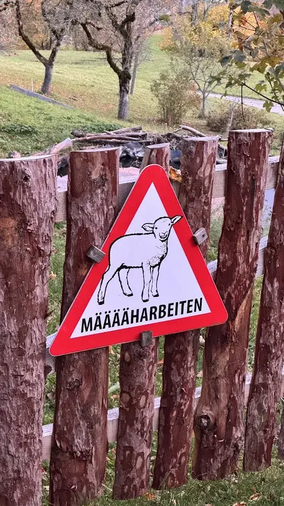 Bernhard Weller_Knödl-Alm_Mitterndorf im Steirischen Salzkammergut_avis