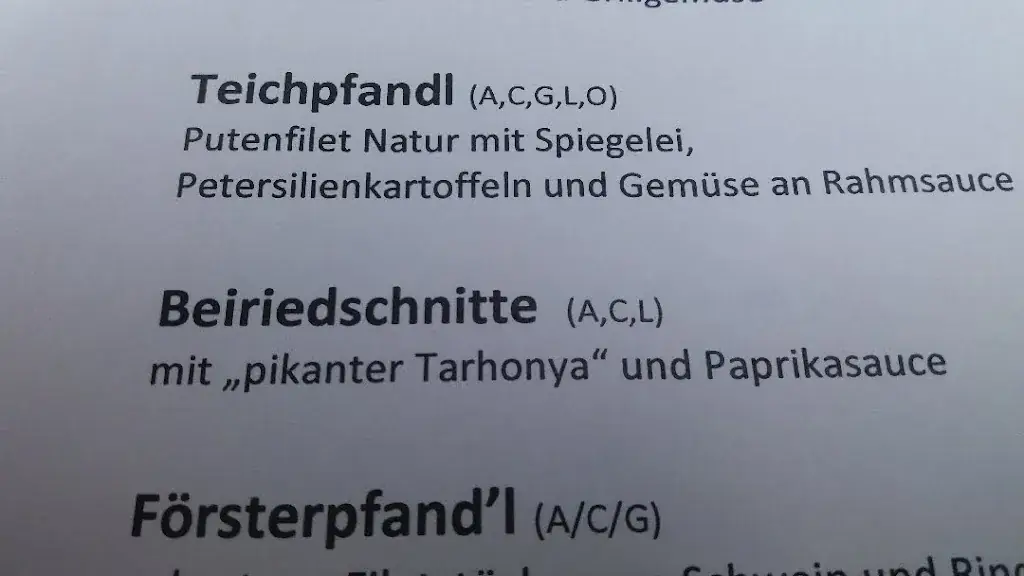 Menu_Teichwirt Urani_Mürzsteg_immagine_1