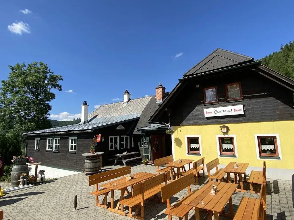 Pflanzlhütte_Mürzsteg_slider_image_3