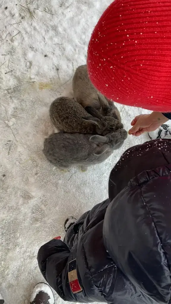 LemLem Oliveira_Kinderhotel Appelhof_Mürzsteg_review