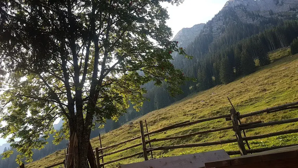 Michael Ernhardt_Jausenstation Kink_Liezen_avis