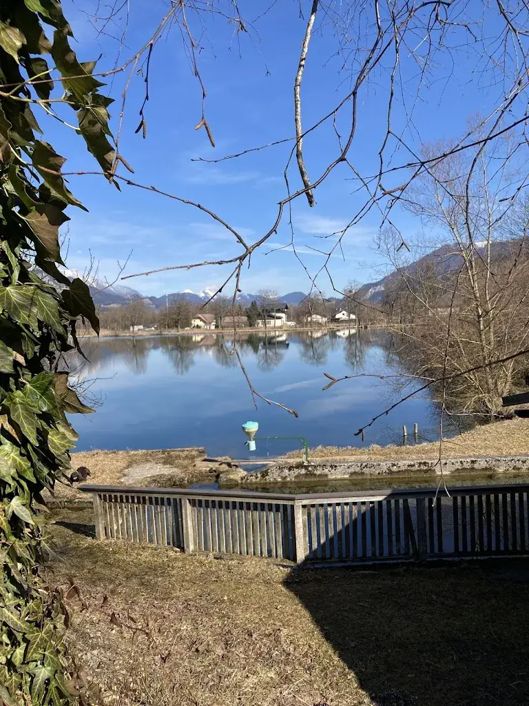 Joana K._Fischrestaurant Schloßteichstüberl_Liezen_review