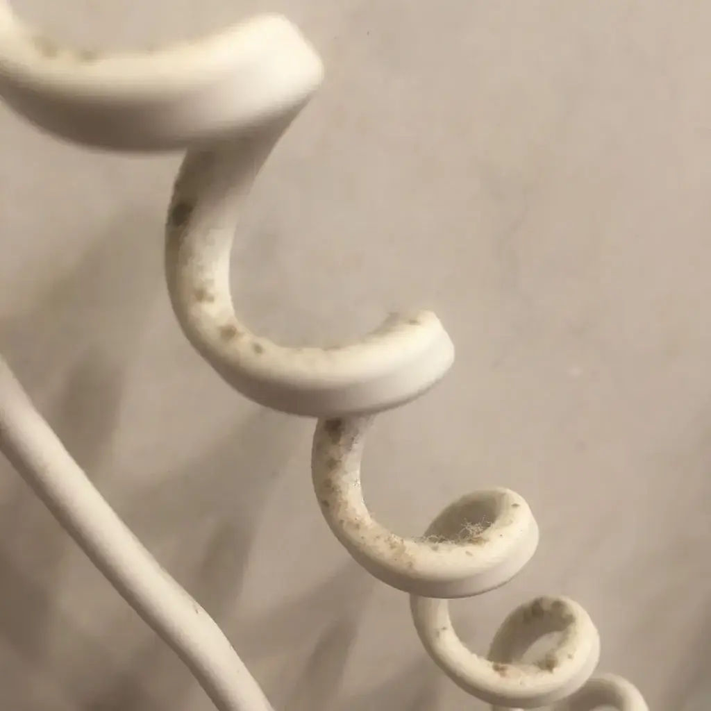 Dirk von R._Gästehaus - Restaurant POSCHENHOF_Liezen_recensione