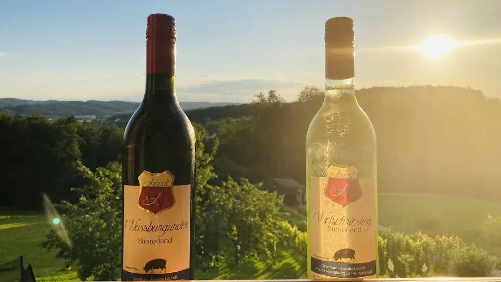 Menu_Wollihof Fam. Laundl_Nestelbach im Ilztal_immagine_3