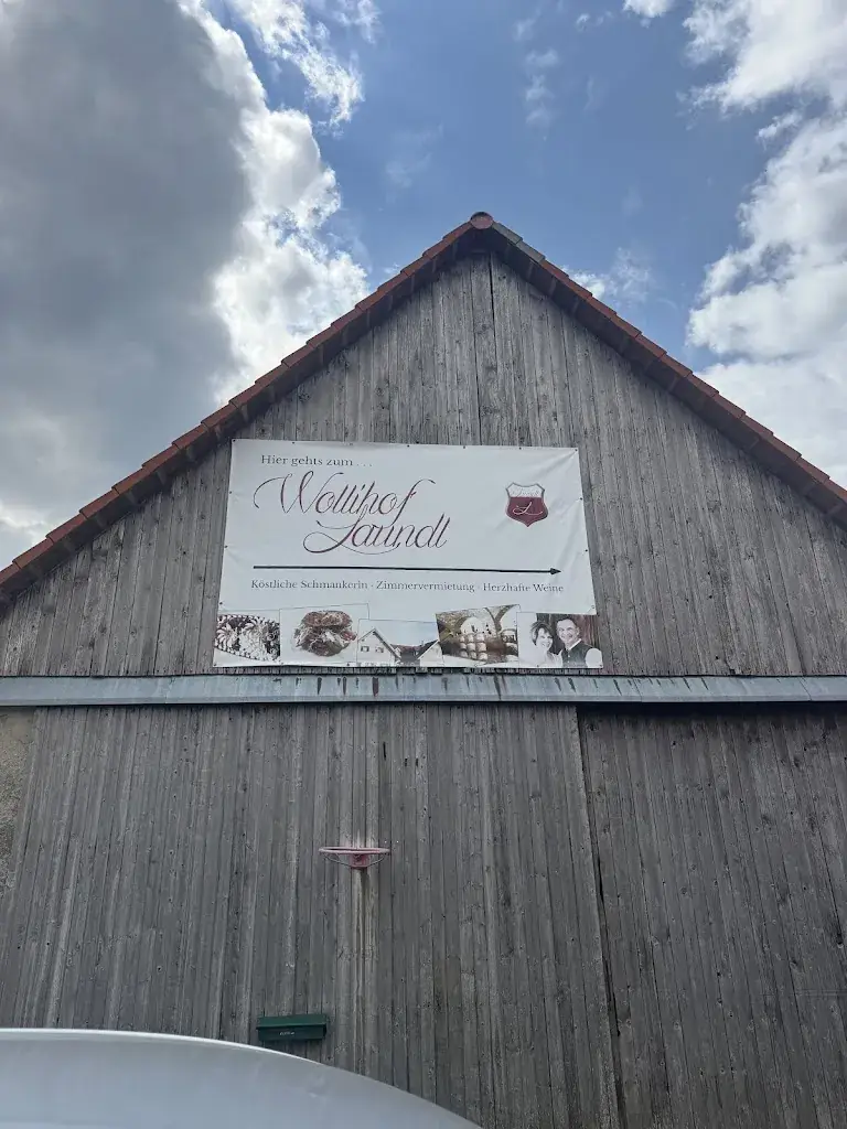 vipknv vipknv_Wollihof Fam. Laundl_Nestelbach im Ilztal_recensione