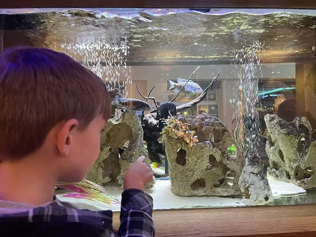 Kim Howell_Naasville Thaiger Restaurant_Naas_recensione