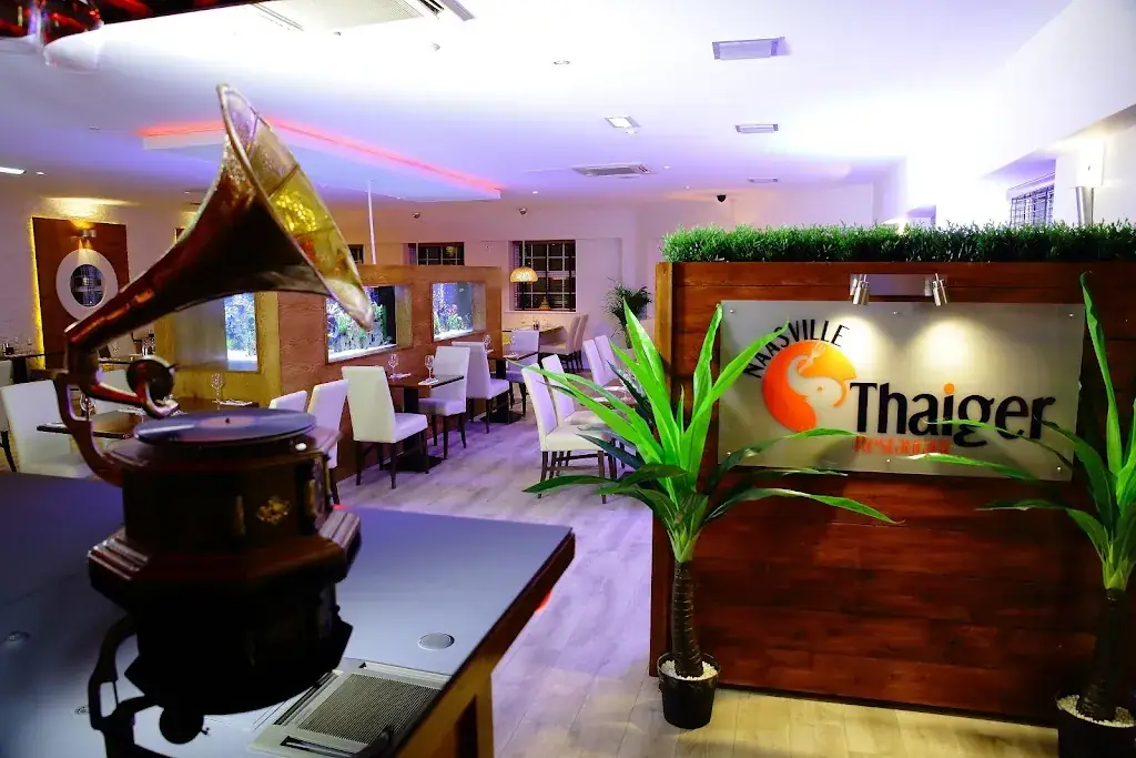 Naasville Thaiger Restaurant_Naas_slider_image_1