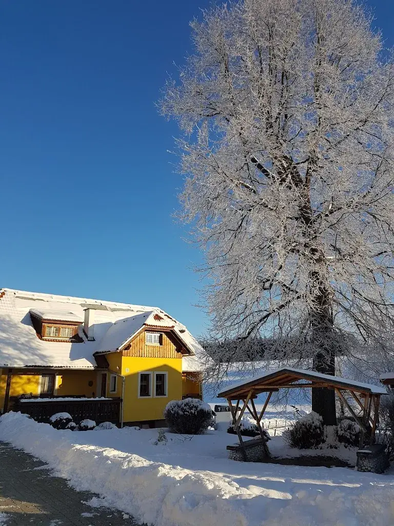 Zsidi Istvan_Gasthof Seeblick (Zimmer & Ferienwohnungen) Speisen - Reiterbauernhof, Märchenrätselwald_Neumarkt in Steiermark_recensione