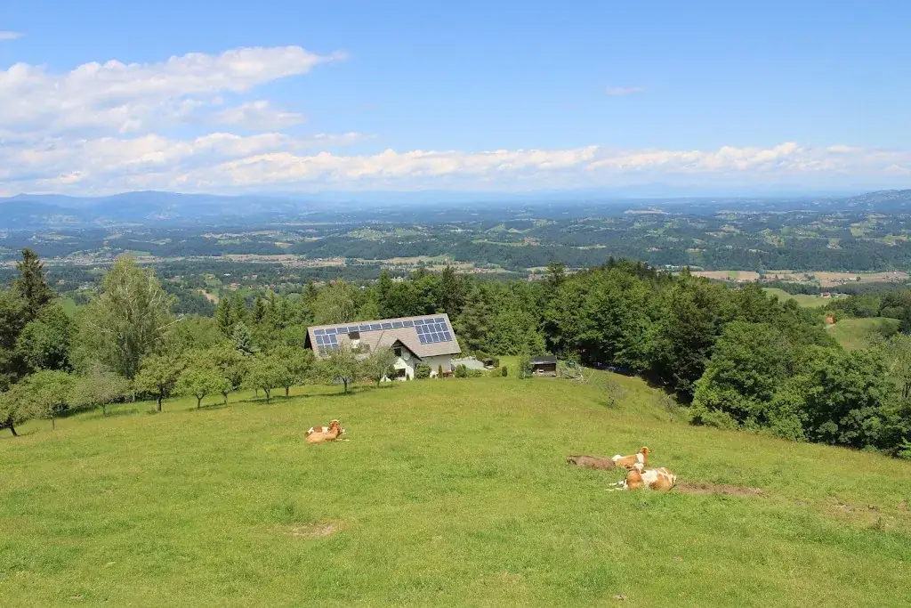 Schönen Tag_Panoramaschenke Tertinek_Oberhaag_review