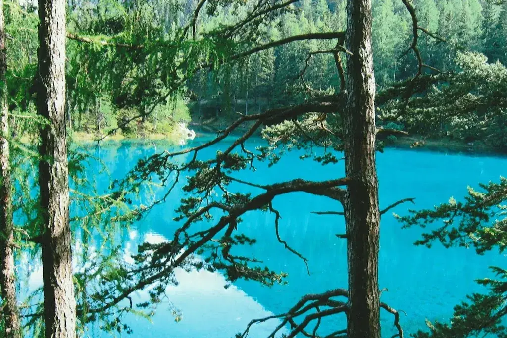 Berti's Pub -Imbiss_Oberhaag_slider_image_2