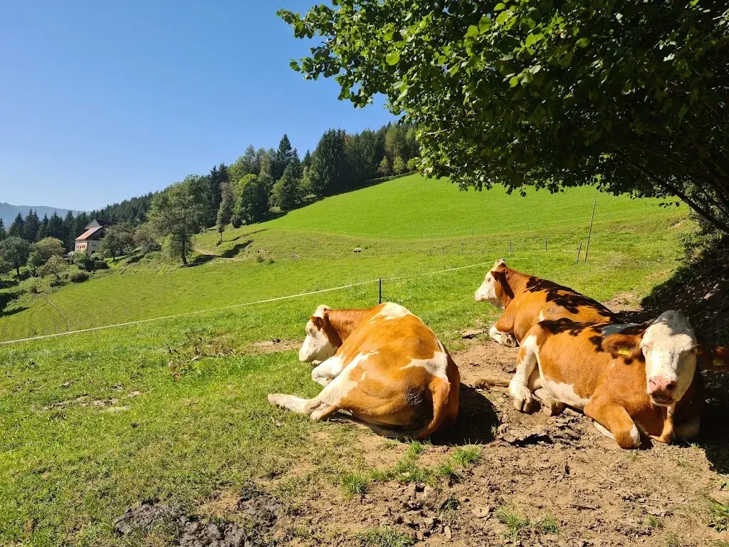 Jausenstation Hoanzl_Oberzeiring_slider_image_3