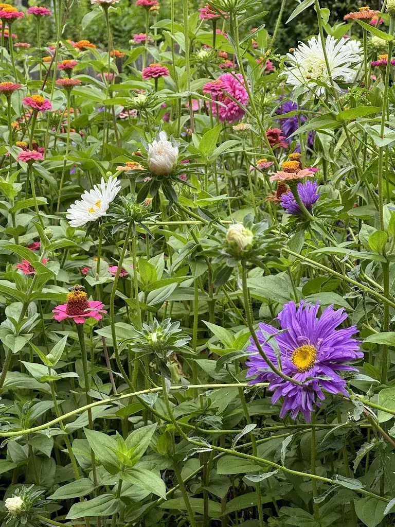 Angelika Gruber_Gasthof zum Mohr'n Familie Tanner_Oberwölz Stadt_review