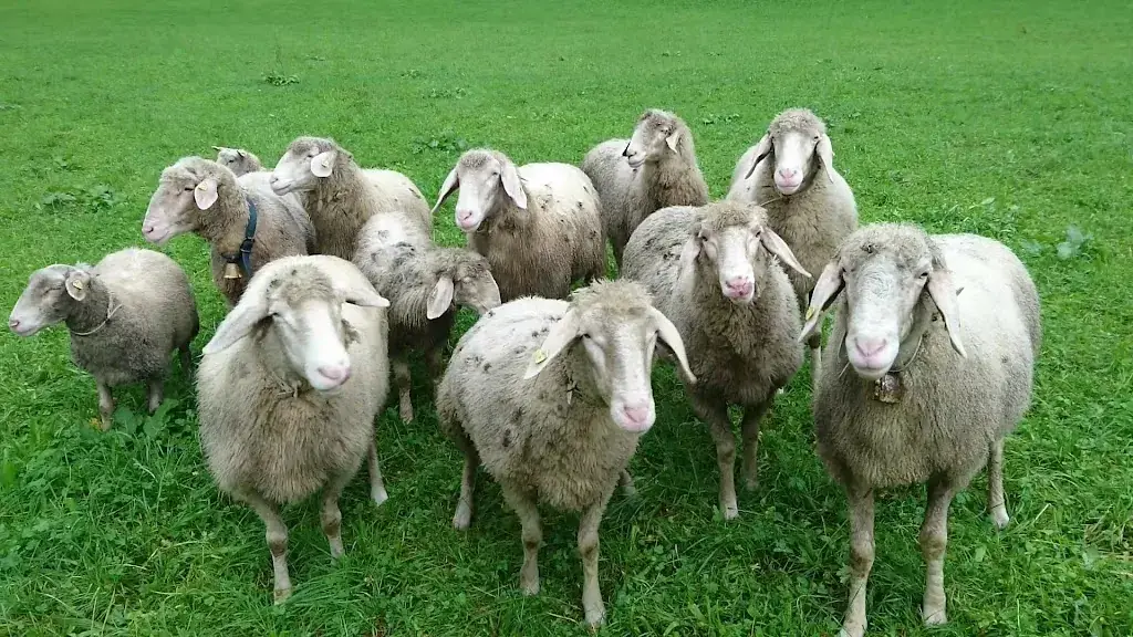 GASTHOF ESCHAU_Palfau_slider_image_2