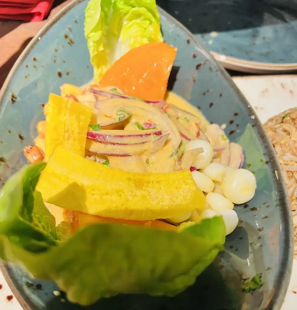 Paul McGuinness_Qoritika_Pirka_review