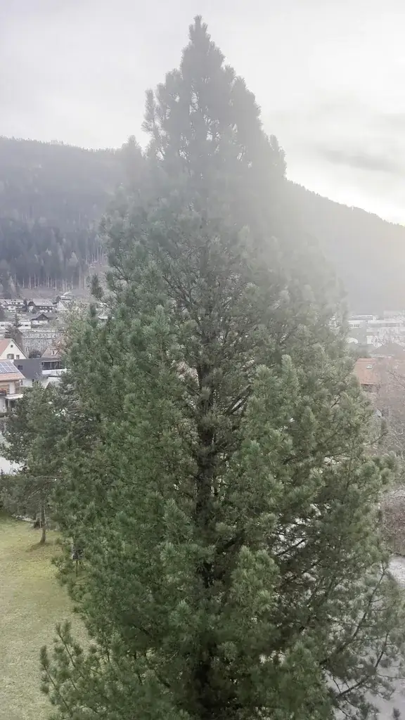 David McCormick_Der Murauer Gasthof Hotel Lercher_Politischer Bezirk Murau_avis