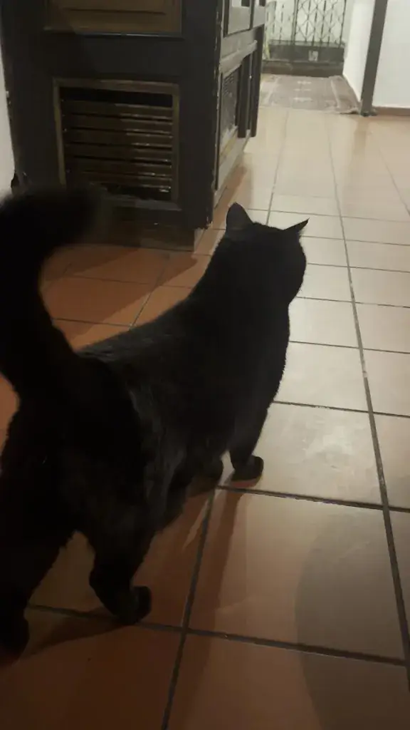 gÁbor Puhl_Der Murauer Gasthof Hotel Lercher_Politischer Bezirk Murau_avis