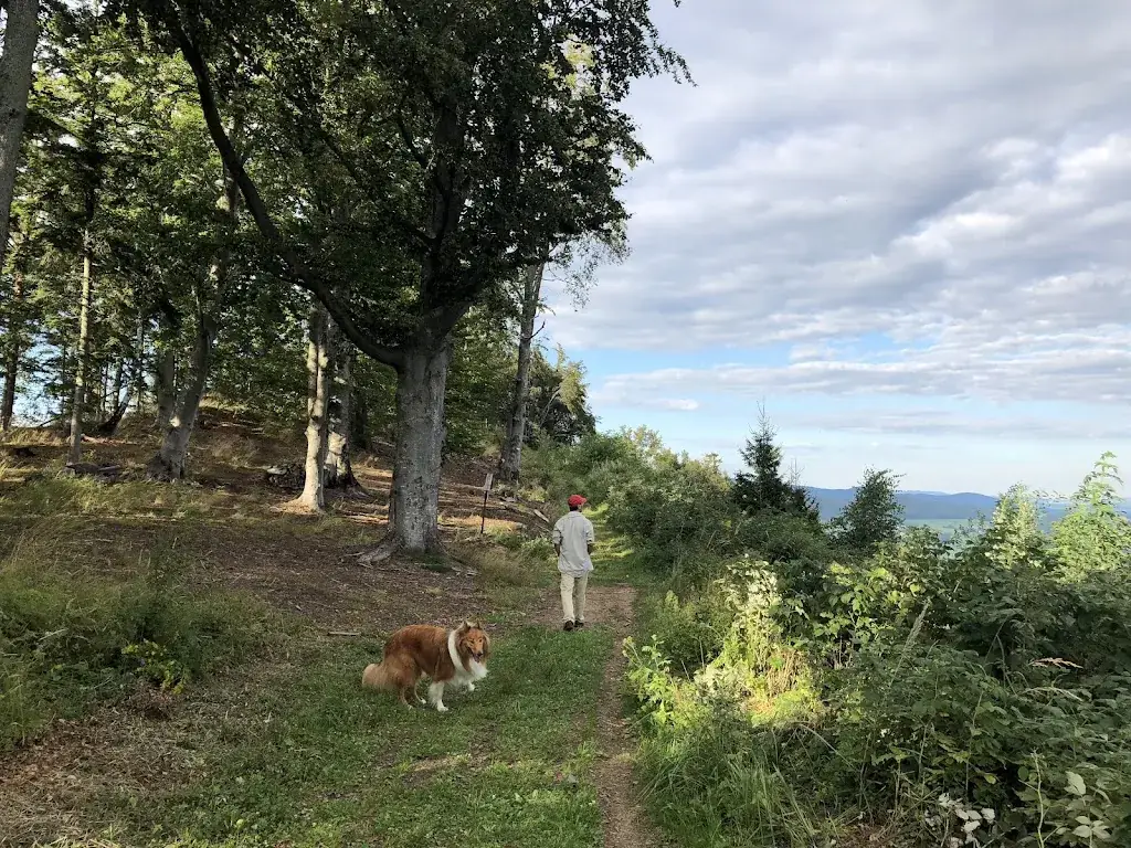 Jane Eva_Styrian Schnitzelwirt am Kulm_Puch bei Weiz_avis
