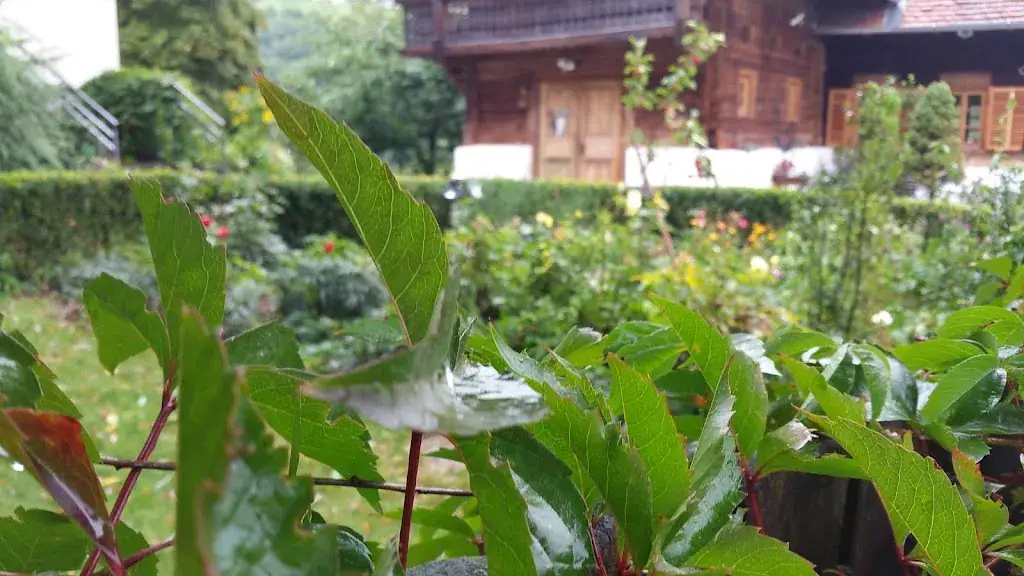 Geht E_Gasthaus Kerschhofer_Pöllauberg_review