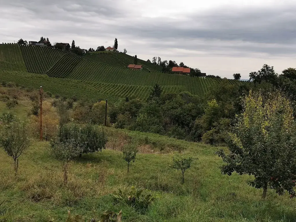 Gasthaus Schlauer_Ratsch an der Weinstraße_slider_image_2