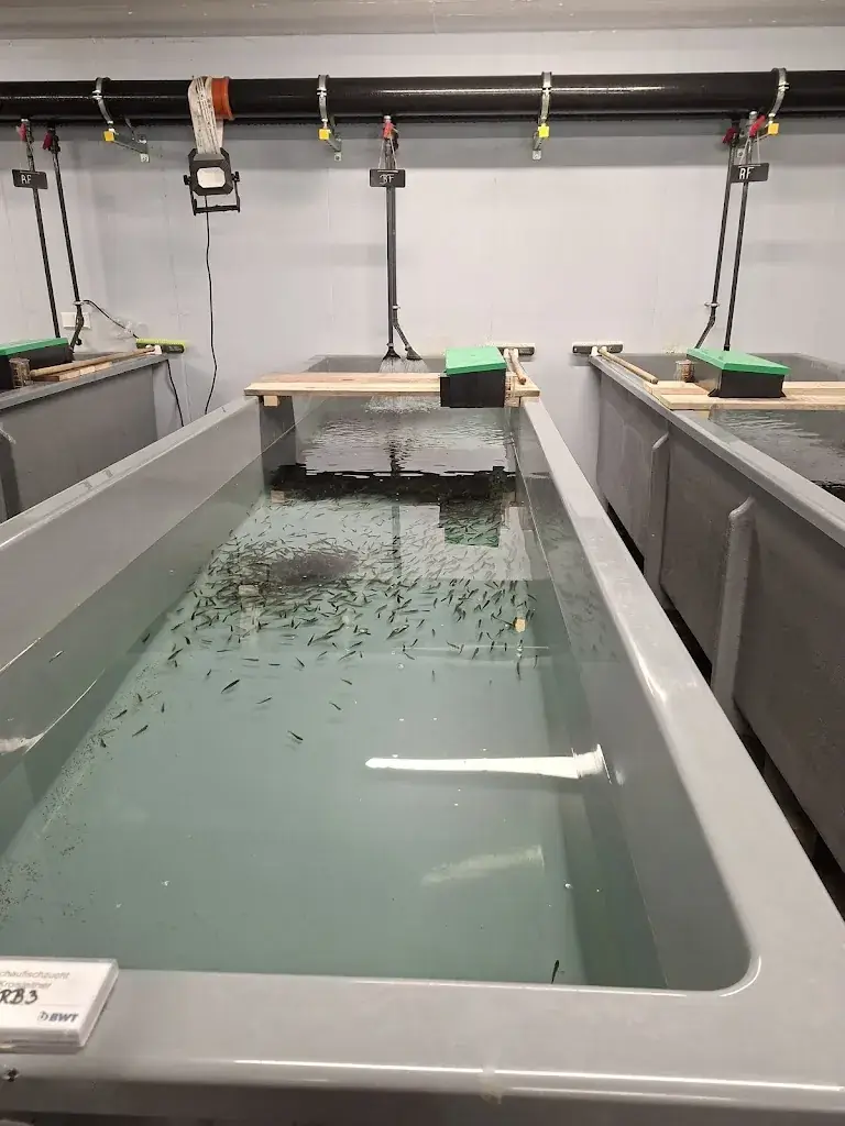 Caroline Knüpper_Forellenzucht Kroisleitner_Rettenegg_review