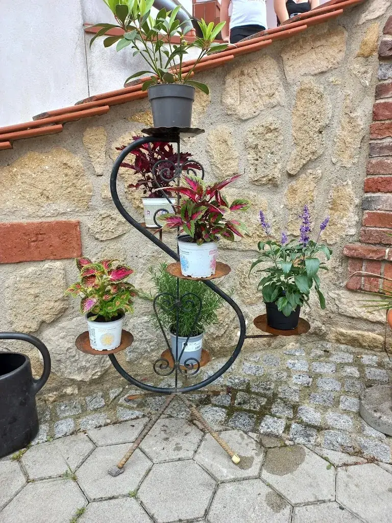 Hochleitner's Heuriger_Sankt Anna am Aigen_slider_image_2