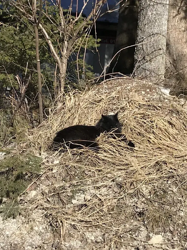 Zdenka Doma_Gasthof Orthofer_Sankt Jakob im Walde_recensione