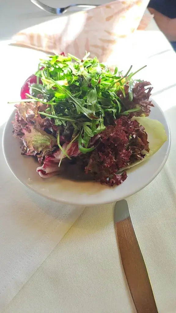 Richard Schmidt_Landgasthof Pink_Sankt Jakob im Walde_Bewertung