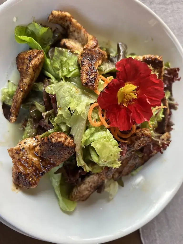 Katalin Orgován_Gasthof Türlspitz_Ramsau am Dachstein_review