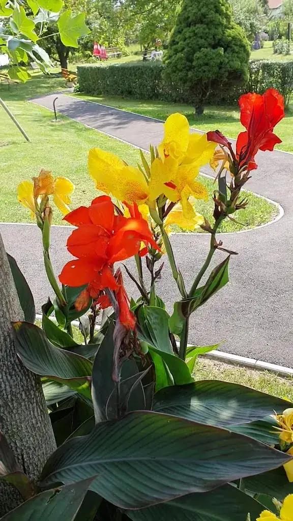 Gasthof Kirchenwirt_Sankt Johann in der Haide_slider_image_2
