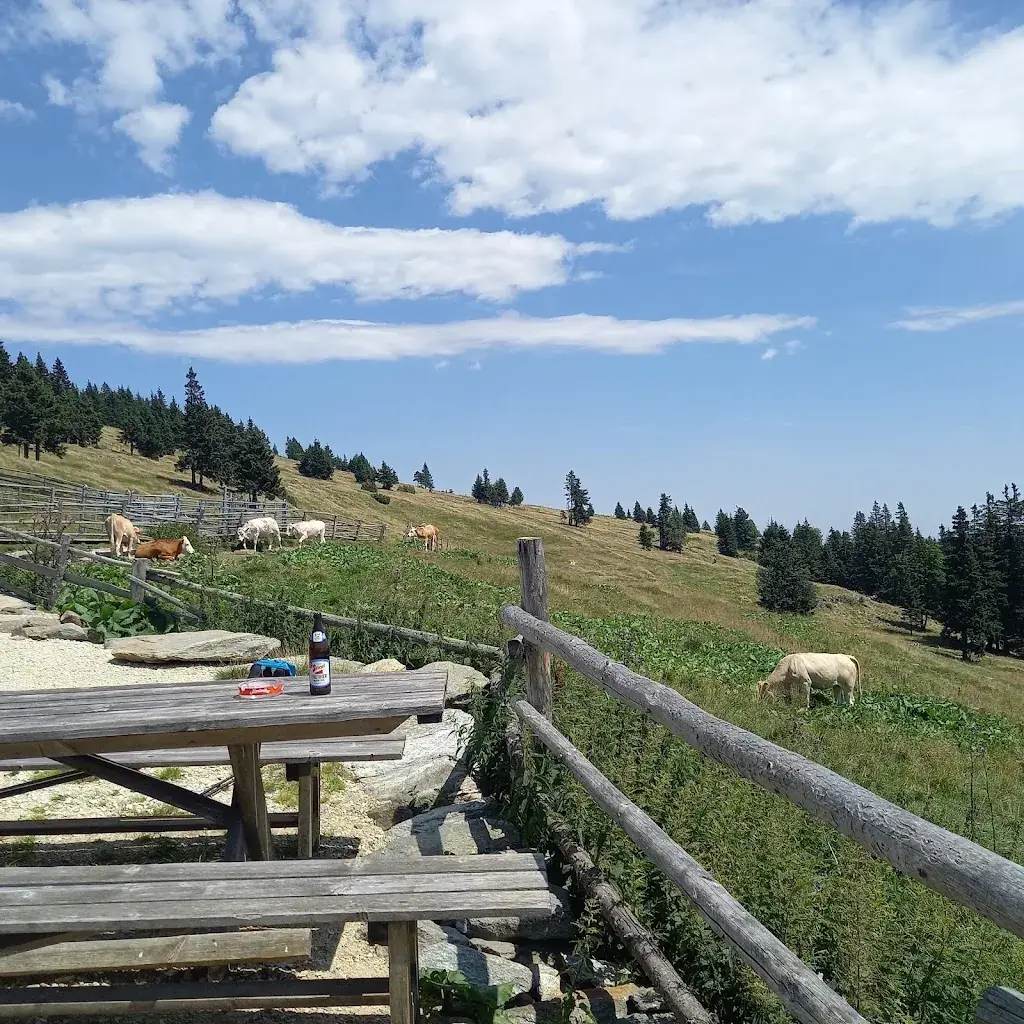 Wolfgang Hopp_Vorauer Schwaig_Sankt Lorenzen am Wechsel_avis