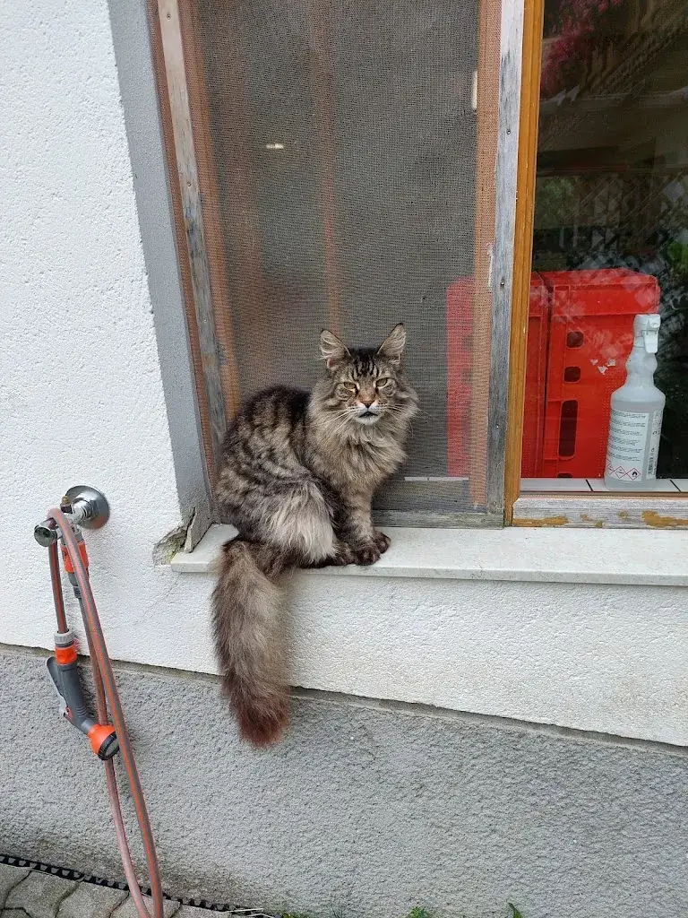 Adriana Rigott_Landhotel Spreitzhofer_Sankt Kathrein am Offenegg_recensione