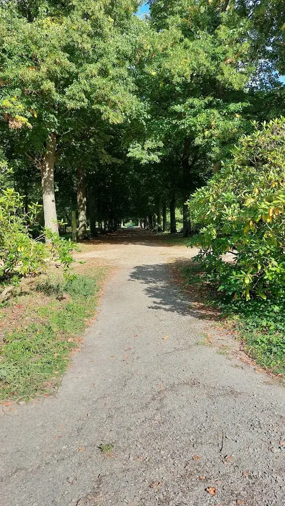 Silvia Bischoff_Schwanberg Bistro_Schwanberg_recensione