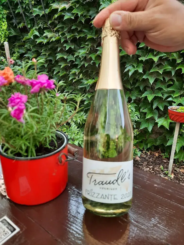 Menu_Traudl's Heuriger_Trausdorf an der Wulka_immagine_4