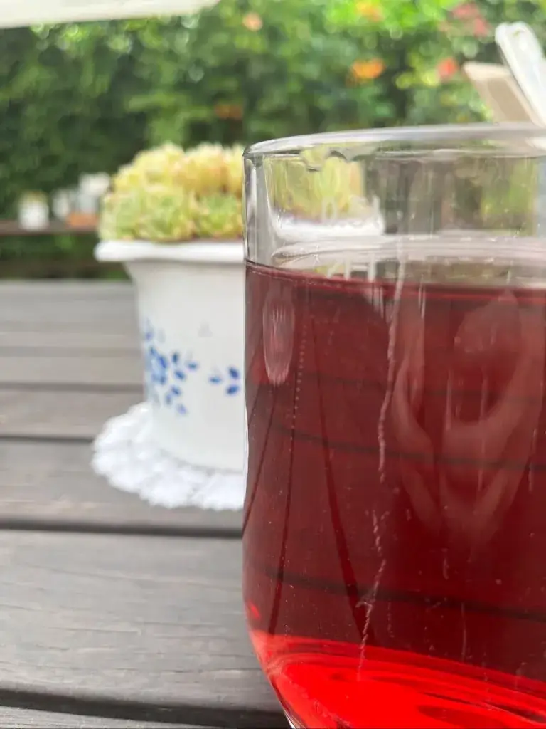 Menu_Traudl's Heuriger_Trausdorf an der Wulka_immagine_8