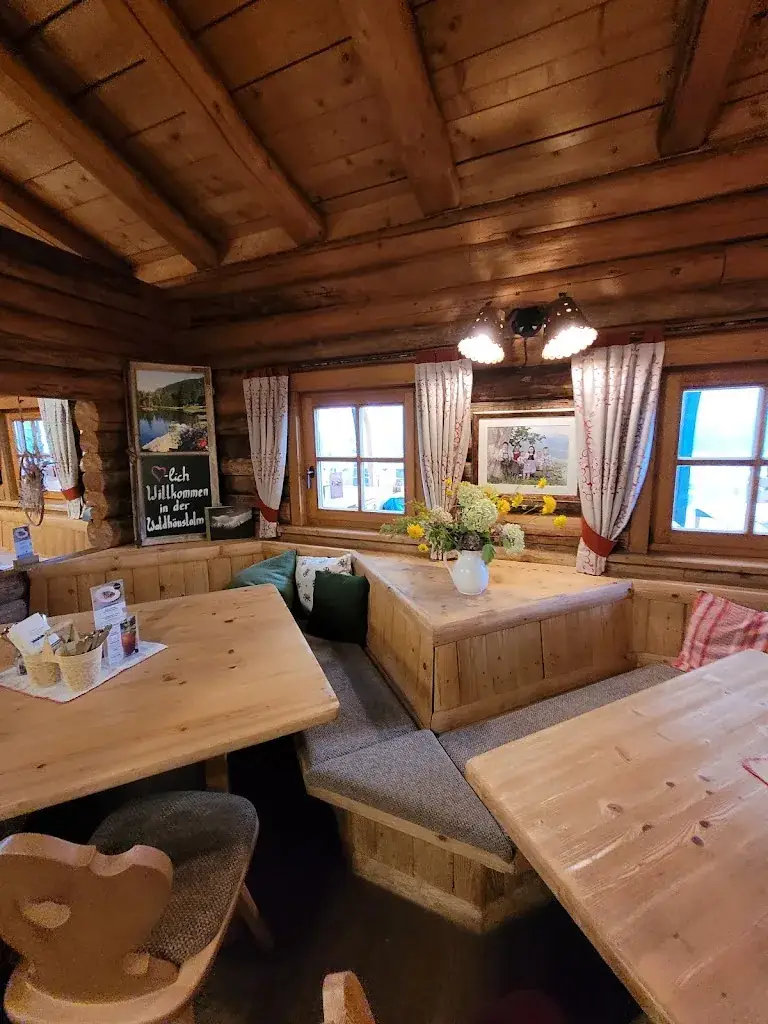 Waldhäuslalm_Schladming_slider_image_3