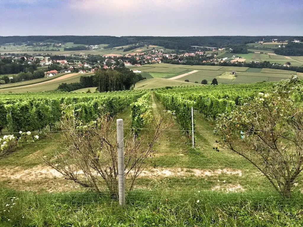 Michał Breś_amberner - eventlocation/penthouse_Sebersdorf_avis