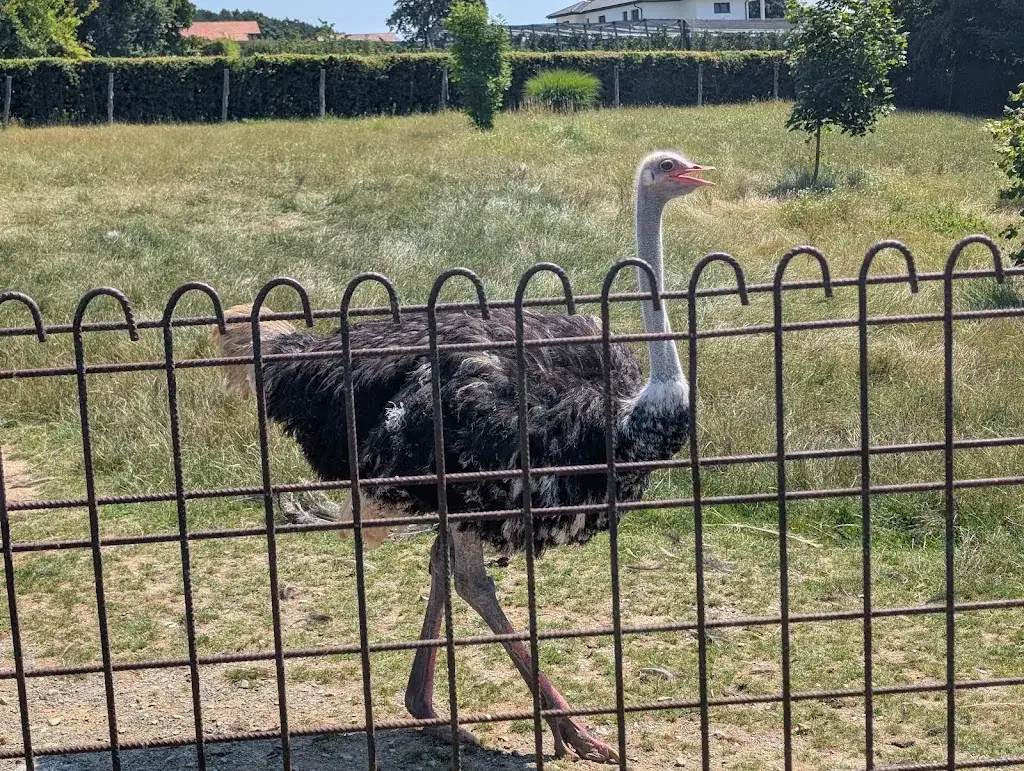 Lindenhof Auffen_Sebersdorf_slider_image_3
