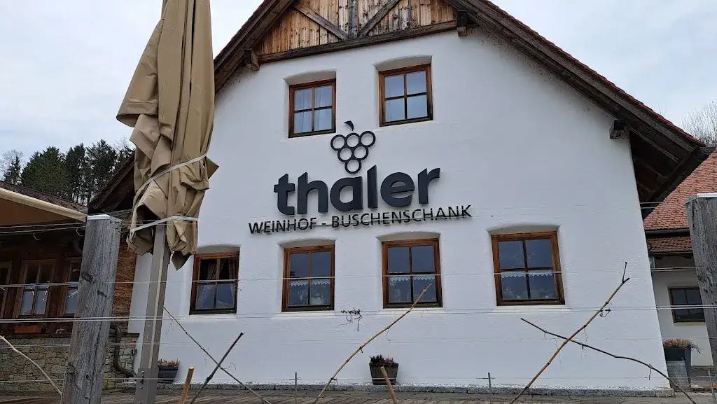 Bartłomiej Żak_Buschenschank Thaler_Sebersdorf_recensione