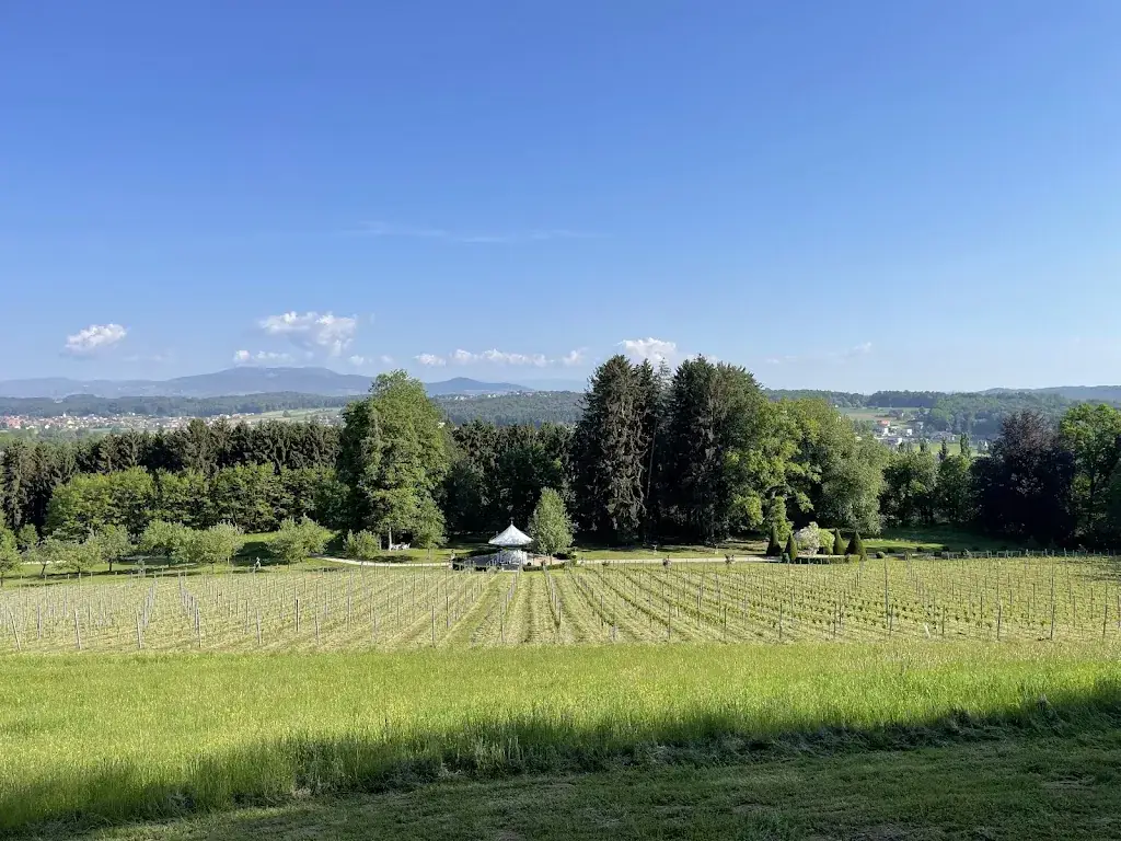 Pujan Rohani_Hotel Schloss Obermayerhofen_Sebersdorf_review